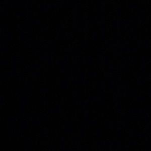 Meet your Posher, Daisy